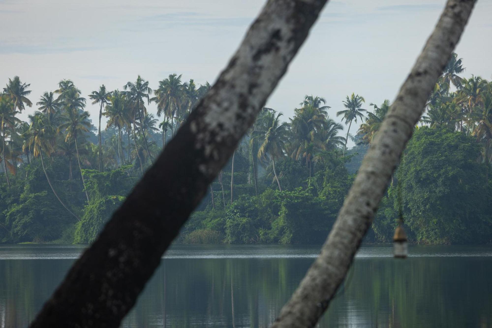 Cranganor History Cafe & Riverside Chateau North Paravur Exterior foto