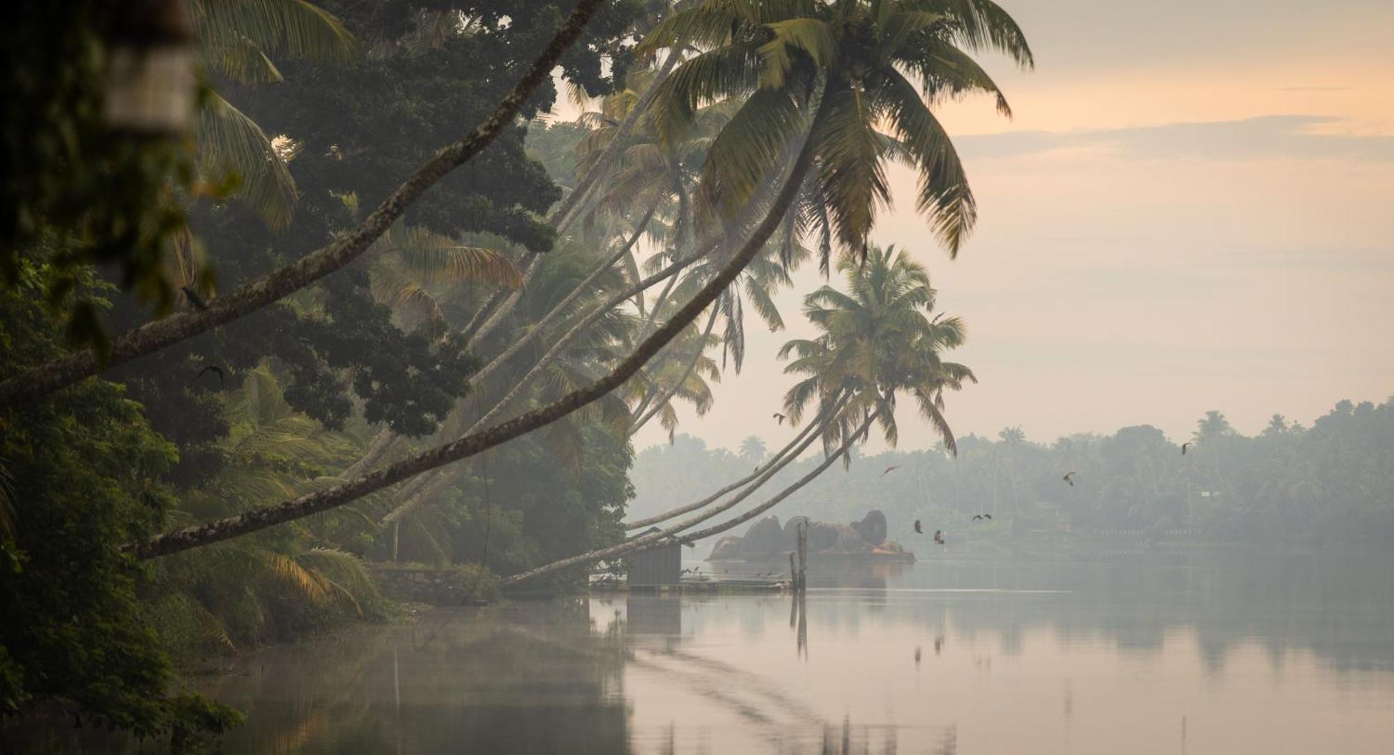 Cranganor History Cafe & Riverside Chateau North Paravur Exterior foto